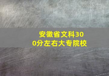 安徽省文科300分左右大专院校