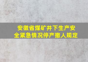 安徽省煤矿井下生产安全紧急情况停产撤人规定