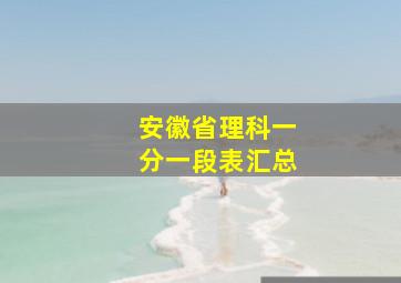 安徽省理科一分一段表汇总