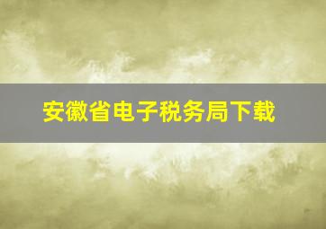 安徽省电子税务局下载