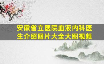 安徽省立医院血液内科医生介绍图片大全大图视频