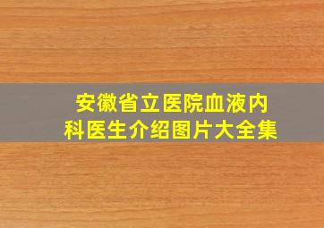 安徽省立医院血液内科医生介绍图片大全集