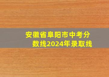 安徽省阜阳市中考分数线2024年录取线