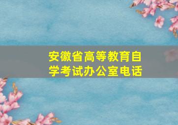 安徽省高等教育自学考试办公室电话