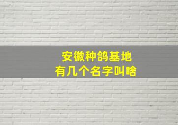 安徽种鸽基地有几个名字叫啥