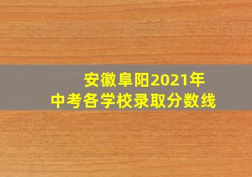 安徽阜阳2021年中考各学校录取分数线