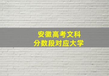 安徽高考文科分数段对应大学