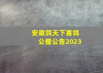 安徽鸽天下赛鸽公棚公告2023