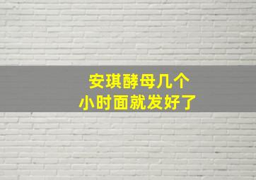 安琪酵母几个小时面就发好了