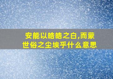 安能以皓皓之白,而蒙世俗之尘埃乎什么意思