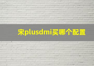 宋plusdmi买哪个配置