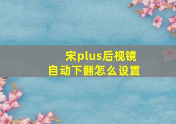 宋plus后视镜自动下翻怎么设置