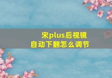 宋plus后视镜自动下翻怎么调节