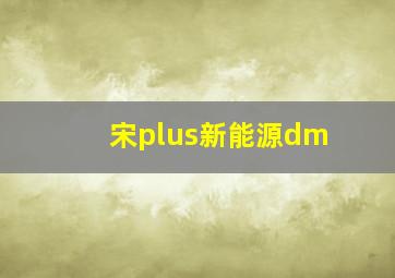 宋plus新能源dm