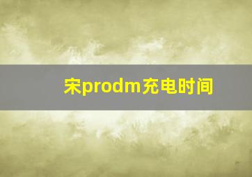 宋prodm充电时间