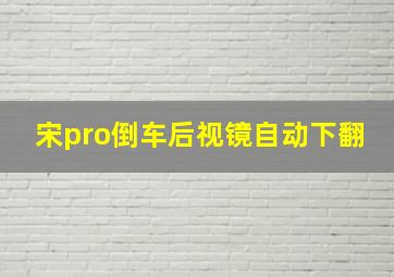 宋pro倒车后视镜自动下翻