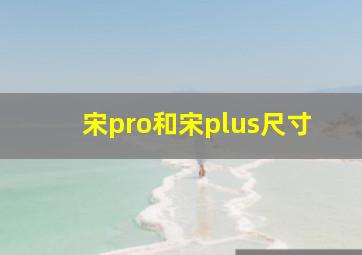 宋pro和宋plus尺寸