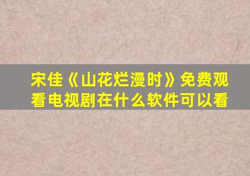 宋佳《山花烂漫时》免费观看电视剧在什么软件可以看