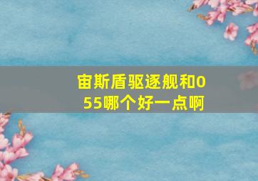 宙斯盾驱逐舰和055哪个好一点啊