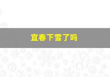 宜春下雪了吗