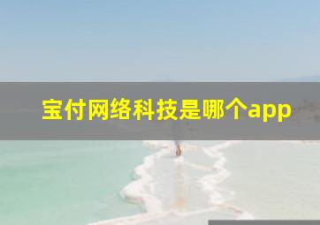 宝付网络科技是哪个app