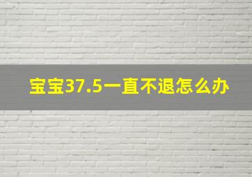 宝宝37.5一直不退怎么办