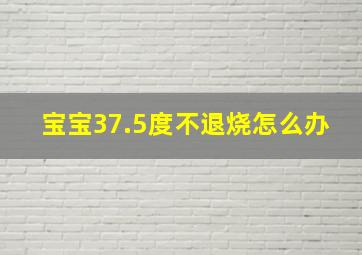 宝宝37.5度不退烧怎么办