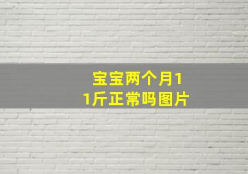 宝宝两个月11斤正常吗图片