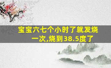 宝宝六七个小时了就发烧一次,烧到38.5度了