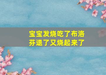 宝宝发烧吃了布洛芬退了又烧起来了