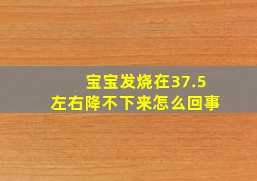 宝宝发烧在37.5左右降不下来怎么回事