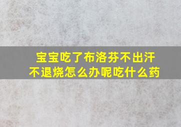 宝宝吃了布洛芬不出汗不退烧怎么办呢吃什么药