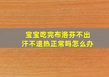 宝宝吃完布洛芬不出汗不退热正常吗怎么办