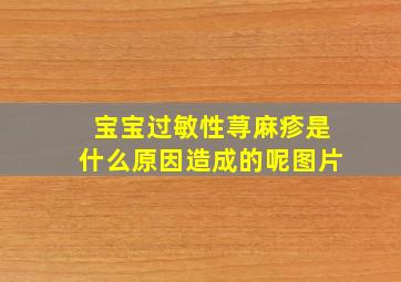 宝宝过敏性荨麻疹是什么原因造成的呢图片