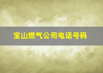 宝山燃气公司电话号码