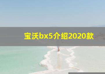 宝沃bx5介绍2020款