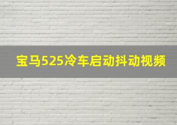 宝马525冷车启动抖动视频