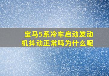 宝马5系冷车启动发动机抖动正常吗为什么呢