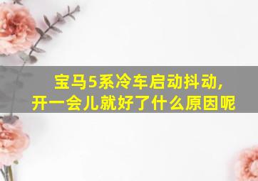 宝马5系冷车启动抖动,开一会儿就好了什么原因呢