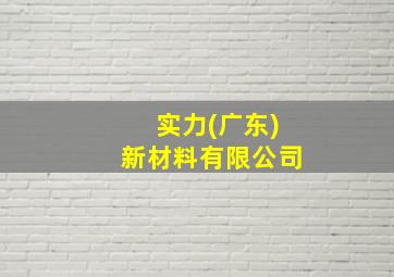 实力(广东)新材料有限公司