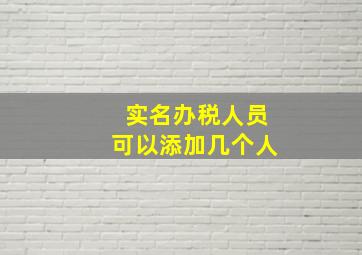 实名办税人员可以添加几个人