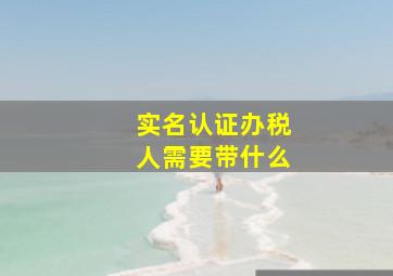 实名认证办税人需要带什么