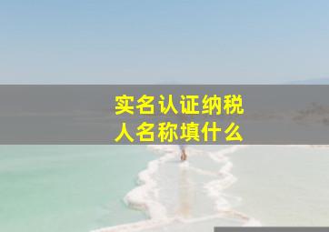 实名认证纳税人名称填什么