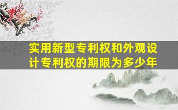 实用新型专利权和外观设计专利权的期限为多少年