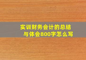 实训财务会计的总结与体会800字怎么写