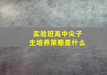 实验班高中尖子生培养策略是什么