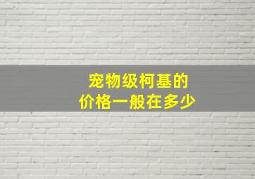 宠物级柯基的价格一般在多少