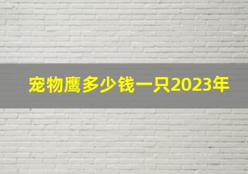 宠物鹰多少钱一只2023年