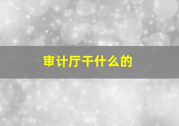 审计厅干什么的