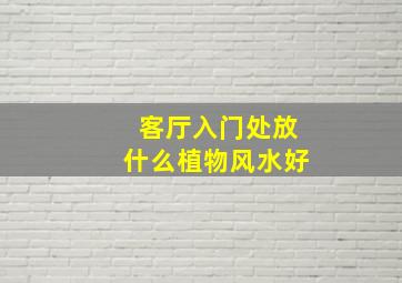 客厅入门处放什么植物风水好